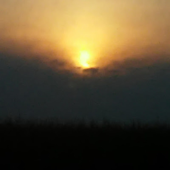 Meet your Posher, Erika - Picture 1 of 1